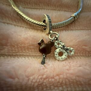 Authentic Pandora Disney Parks Charm